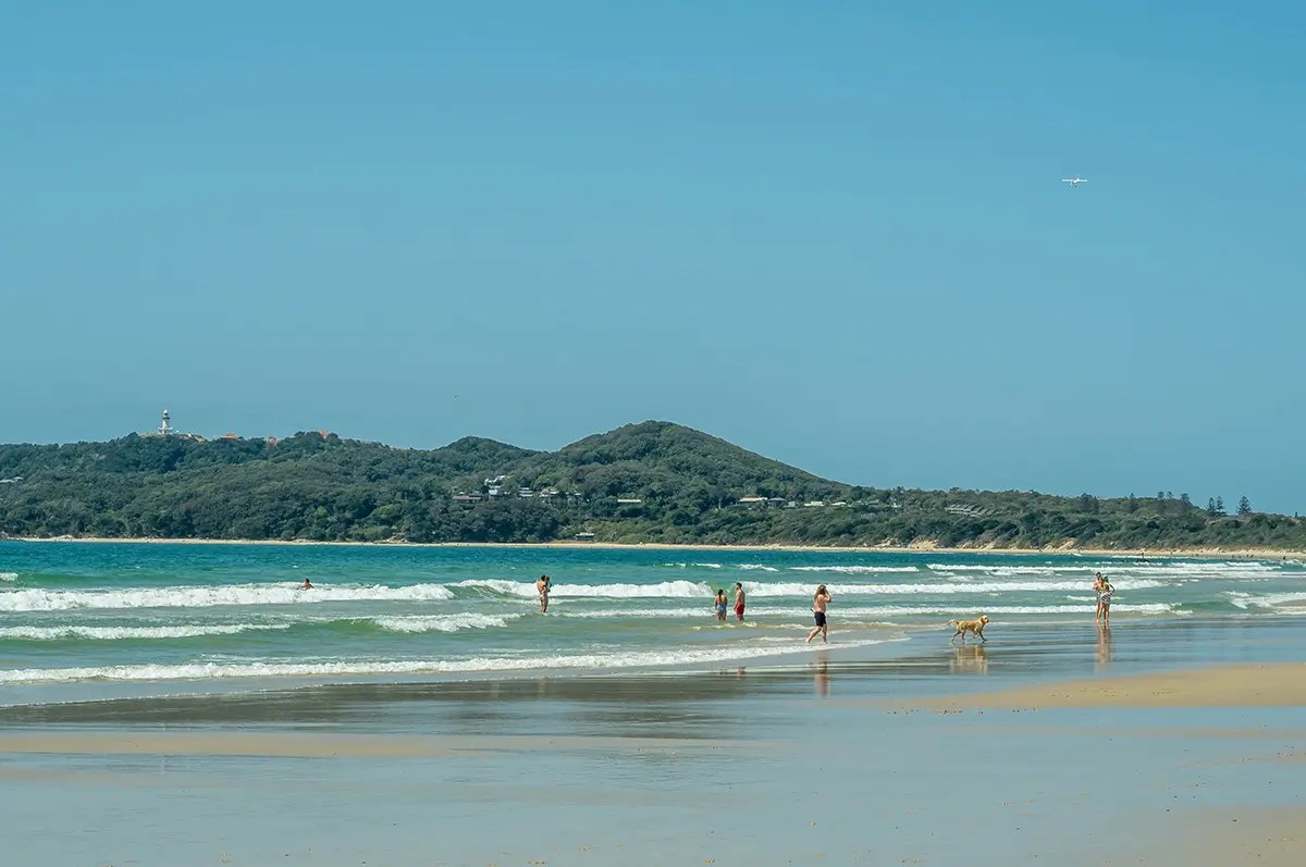 Byron Bay Pet Friendly The Official Guide