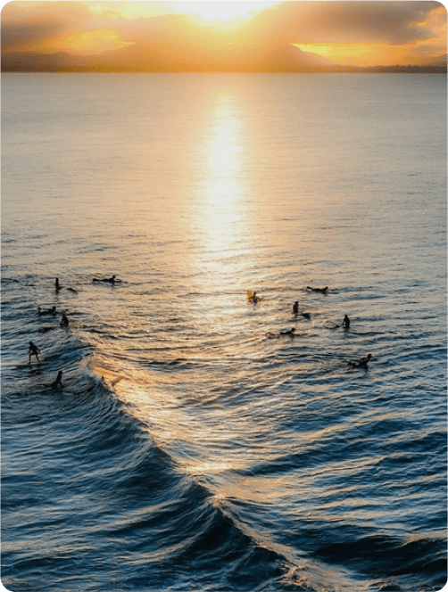 Instagram Feed 3 The Official Guide