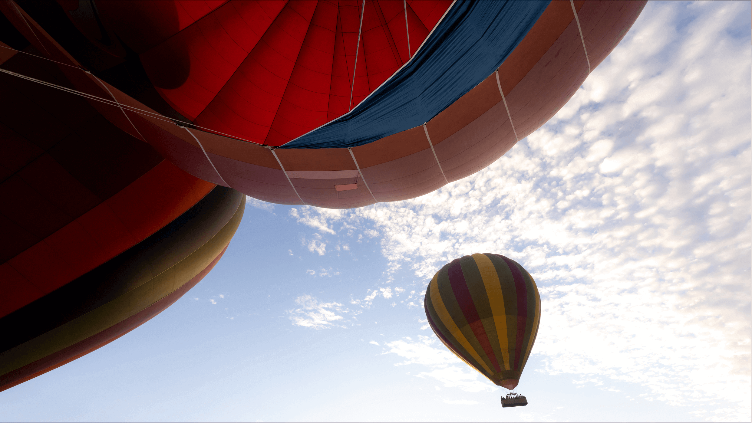 Byron Bay Ballooning The Official Guide