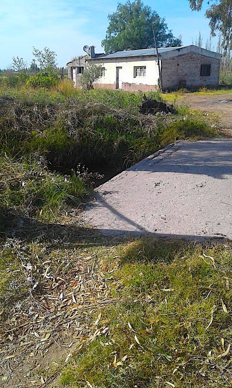 Argentina Vineyard, Farms, Land & Real Estate for Sale in Mendoza