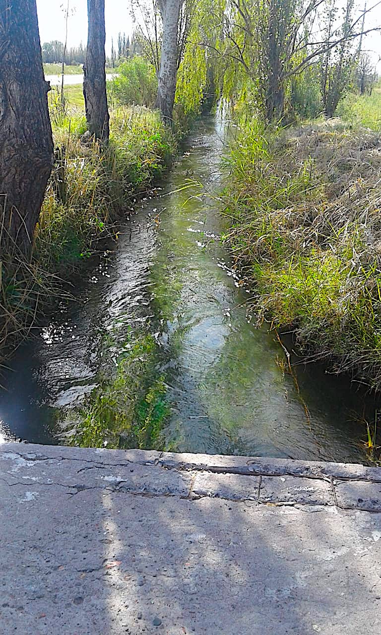 Argentina Vineyard, Farms, Land & Real Estate for Sale in Mendoza