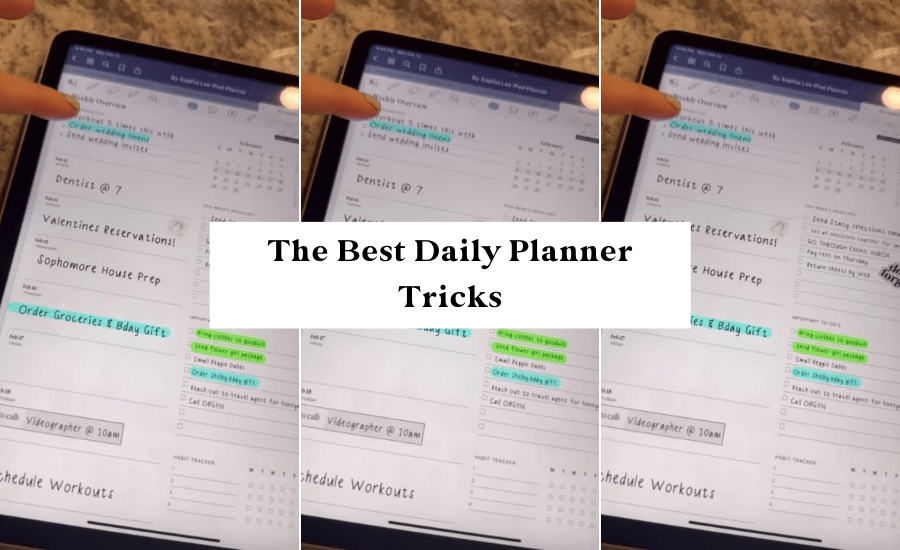 The Best Daily Planner Tricks for TypeA People By Sophia Lee