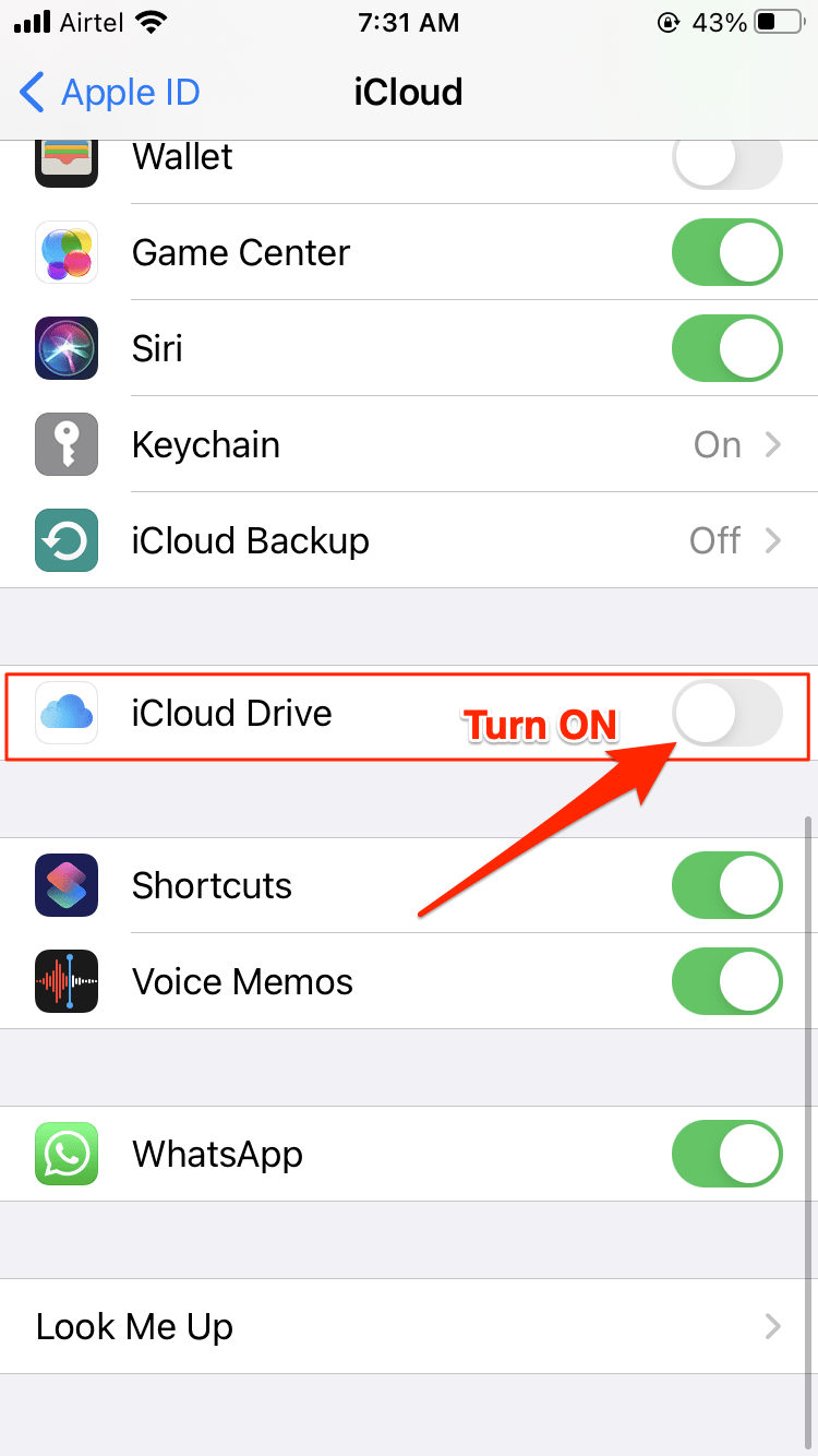 How to Access WhatsApp Backup from iCloud Drive?