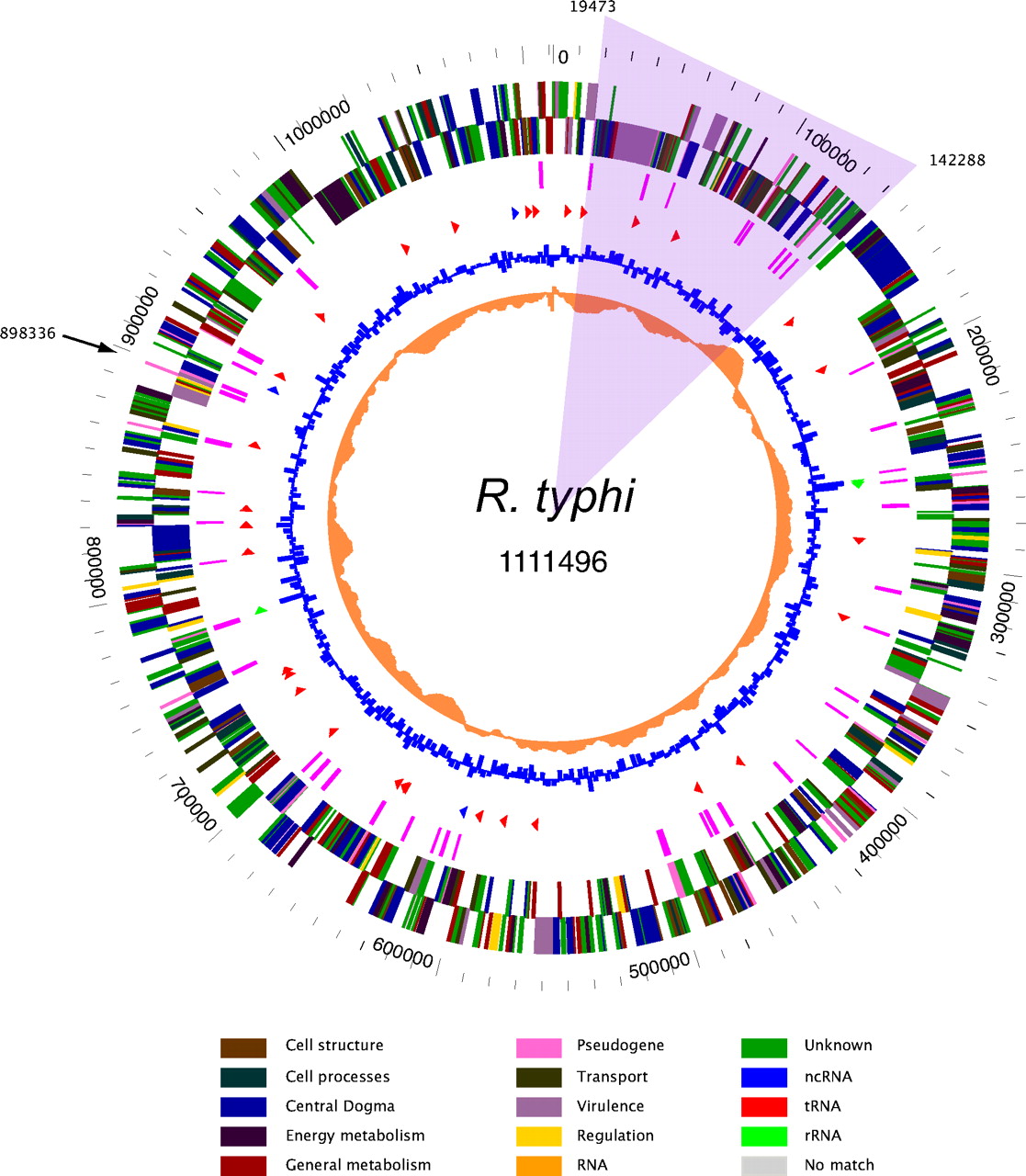 My own post genomic moment Byte Size Biology