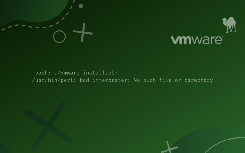 VMware Tools Install Error /usr/bin/perl bad interpreter No such