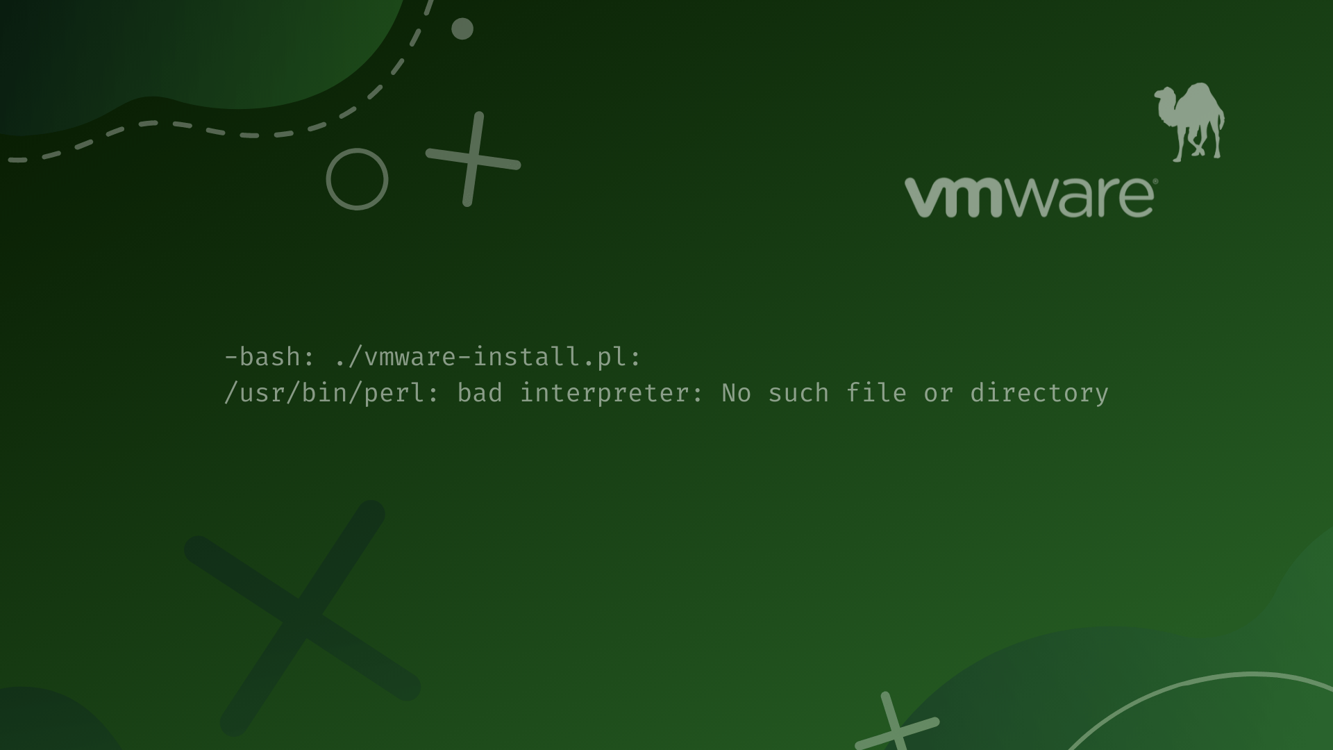 VMware Tools Install Error /usr/bin/perl bad interpreter No such file or directory