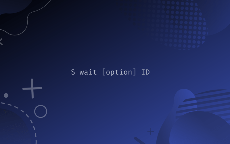 Bash Wait Command ByteXD