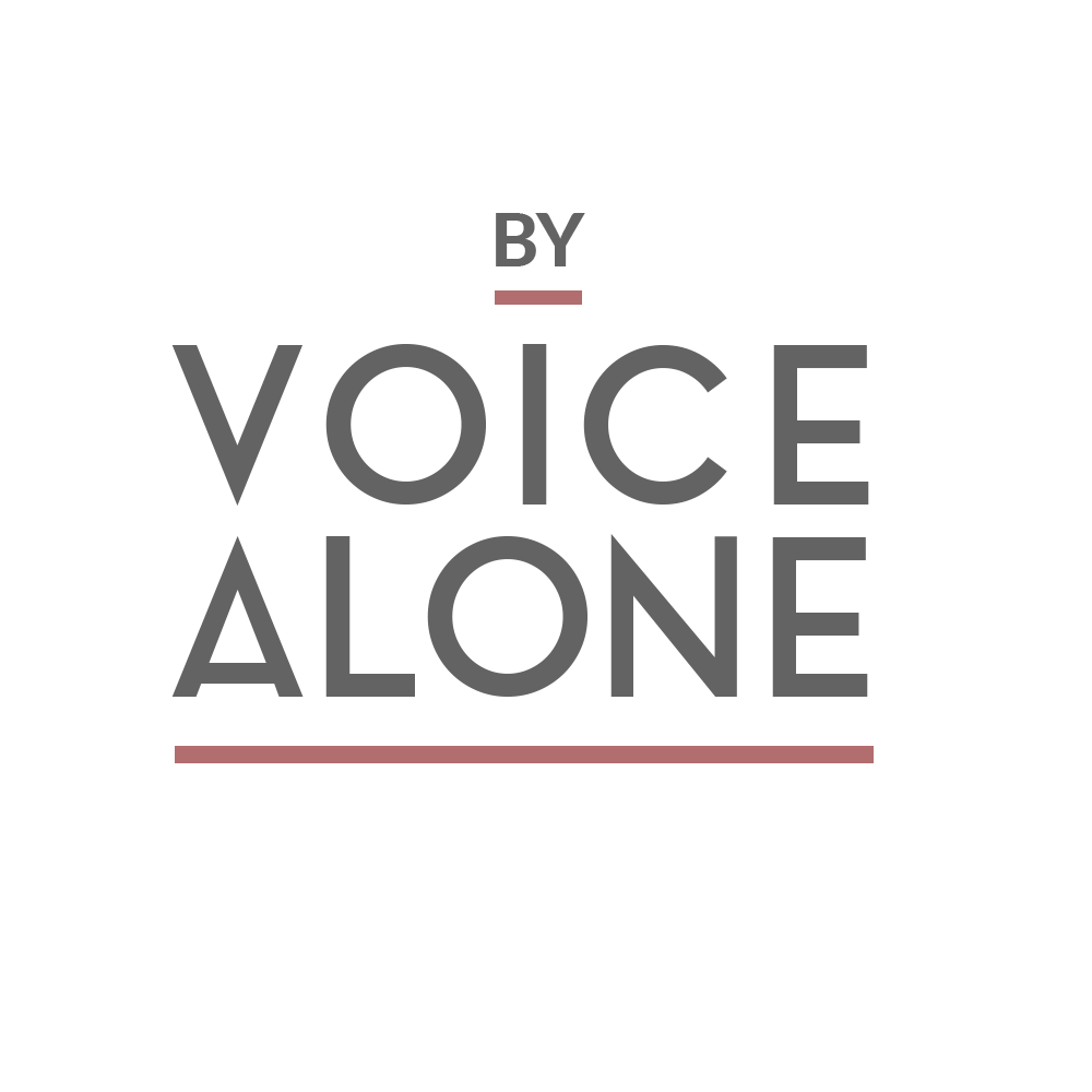 Accessibility Statement By Voice Alone