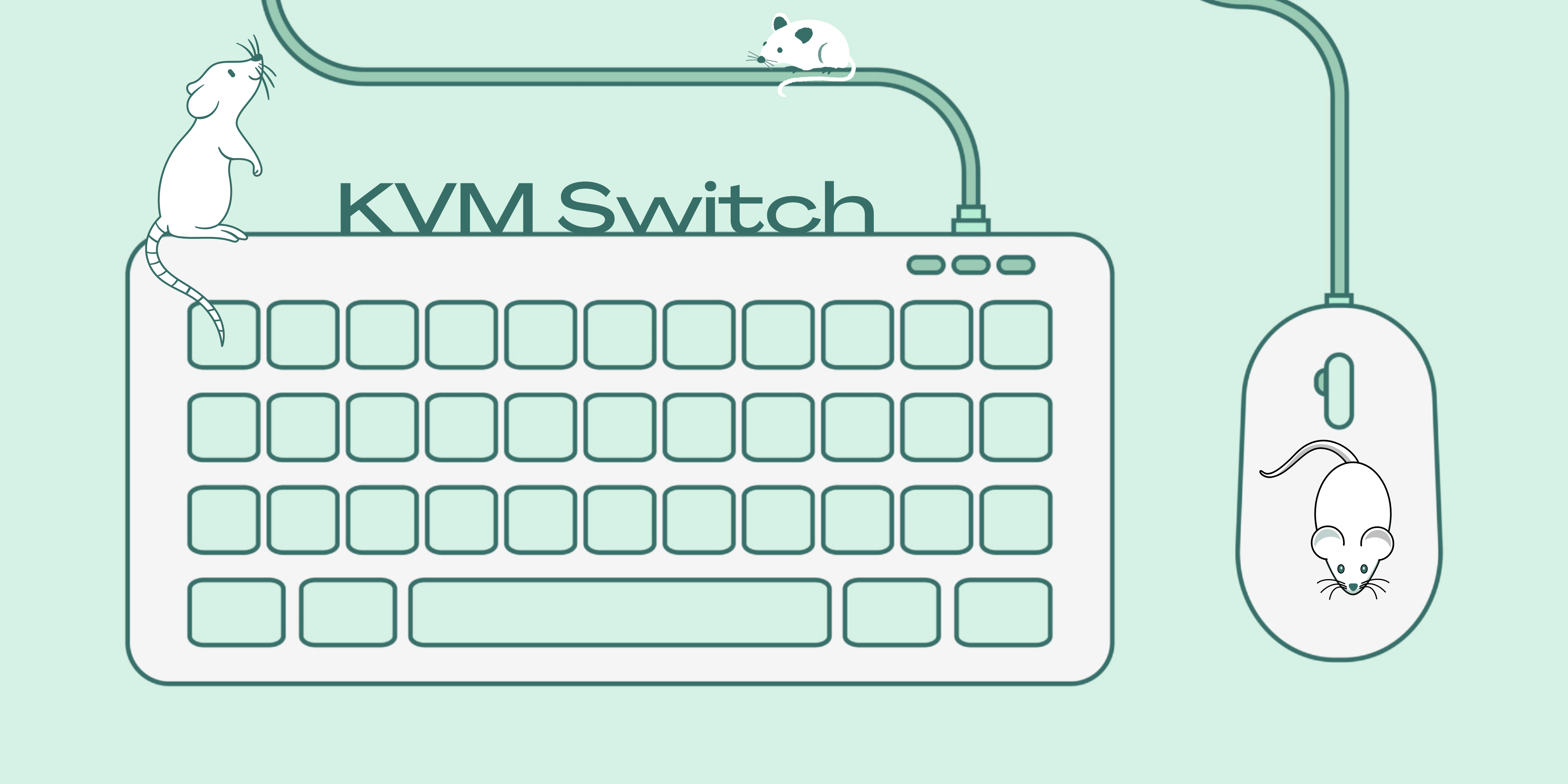 What does a KVM switch do? | Bzbgear