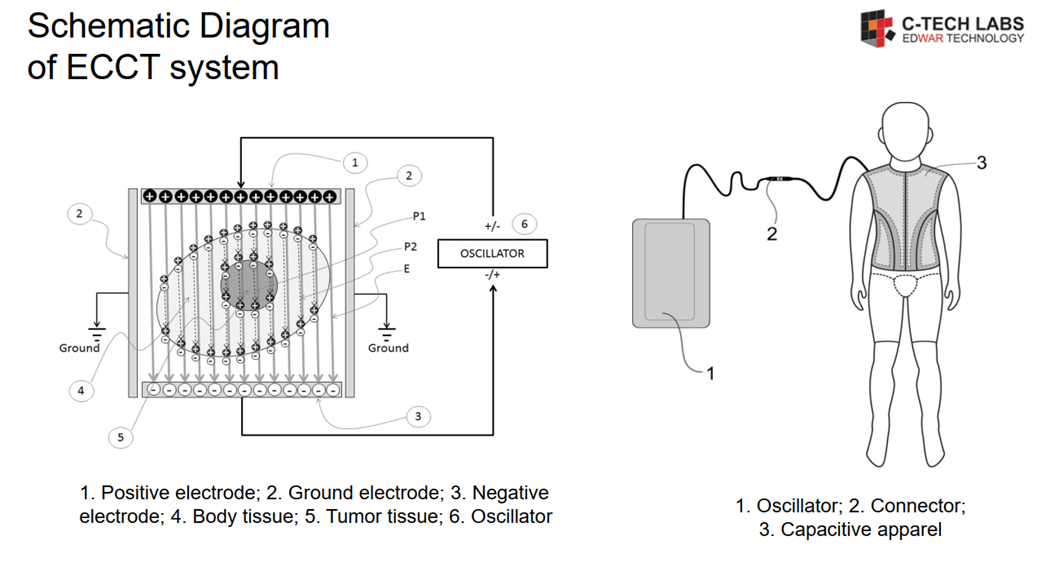 ElectroCapacitive Cancer Theraphy (ECCT) Devices CTECH Laboratories