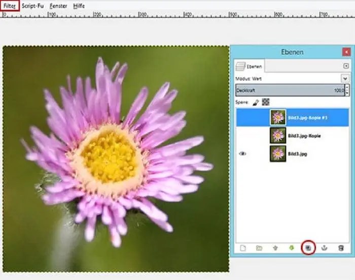 Verpixelte Bilder schärfen 3 Softwares im Vergleich