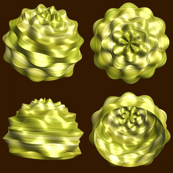 Free Images abstract, structure, texture, leaf, flower, petal