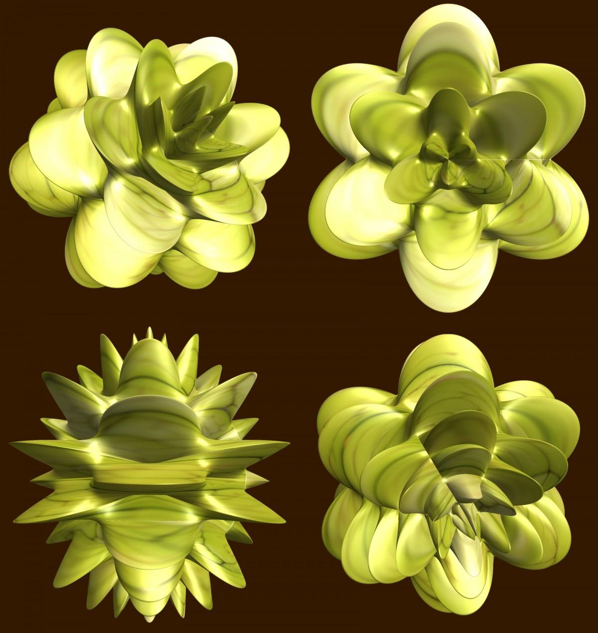 Free Images structure, plant, leaf, flower, petal, orange, pattern