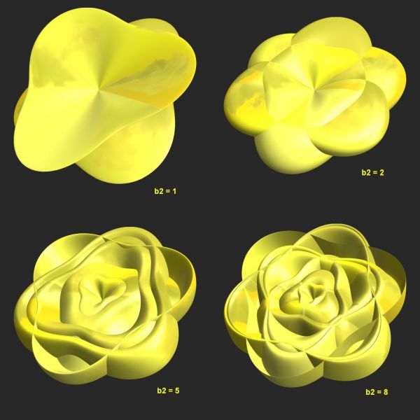 Free Images structure, texture, flower, petal, pattern, produce