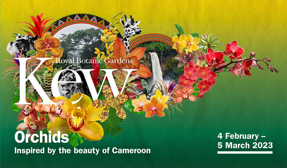 Kew Gardens Orchids Tickets and Dates 2023
