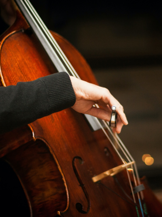 Cello tutors near me Private tutoring from 10/hr