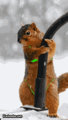 Pole Dancing GIFs Tenor