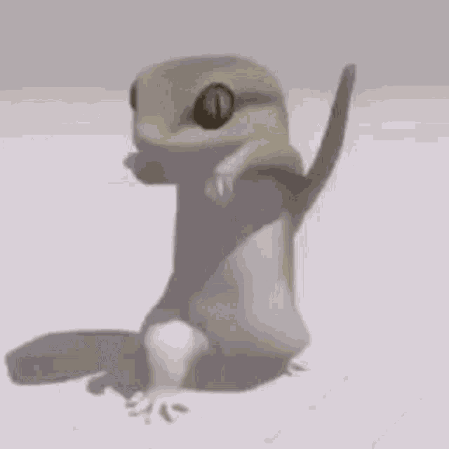 Animated Gecko GIFs Tenor