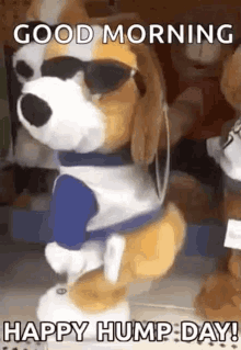 Its Hump Day Gifs Tenor