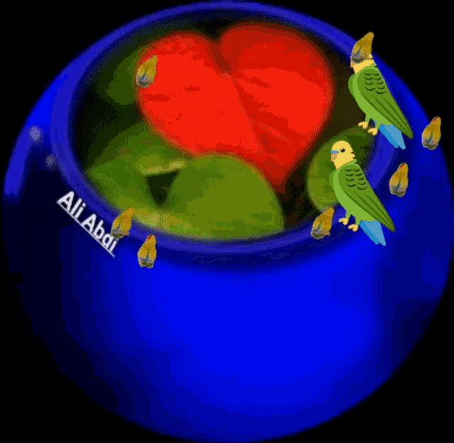 Birds GIF Birds Discover & Share GIFs