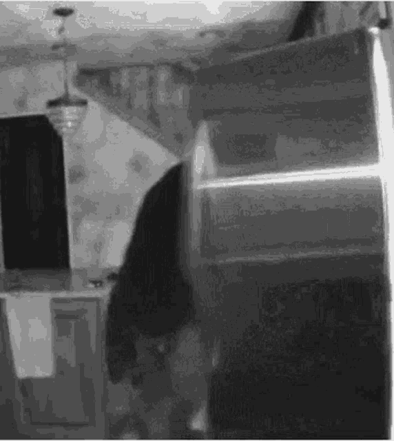 Bear Fridge Reverse GIF Bear Fridge Reverse 2am_snack Discover & Share GIFs