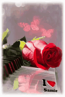I Love You Animation Wallpaper Gifs Tenor