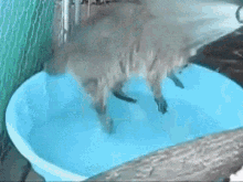 Naked Pool GIFs | Tenor