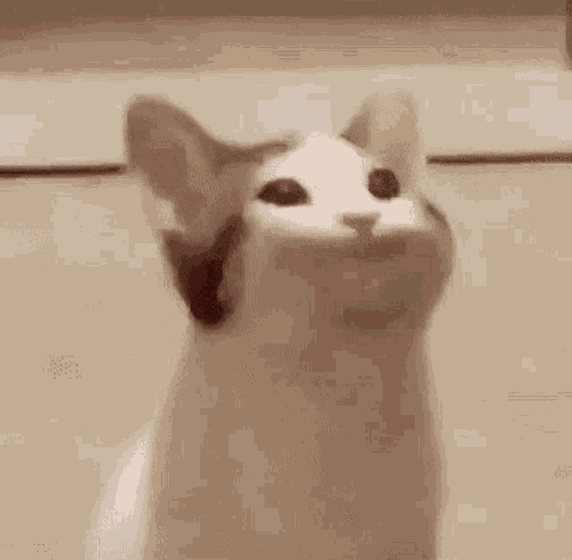 Yes GIF Yes Discover & Share GIFs