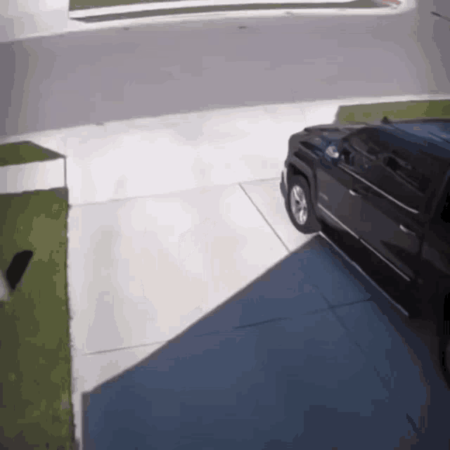 Drip Crow Drip GIF Drip Crow Drip Discover & Share GIFs