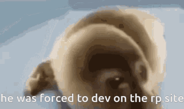 Caption GIF - Caption - Discover & Share GIFs