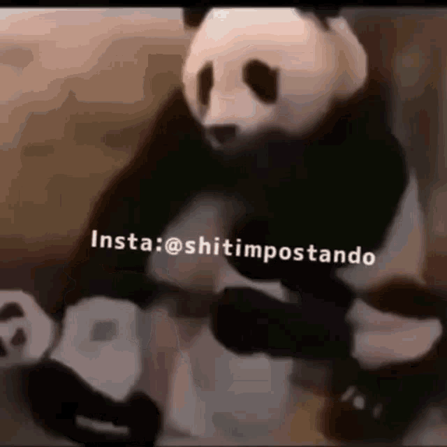 Panda GIF Panda Discover & Share GIFs