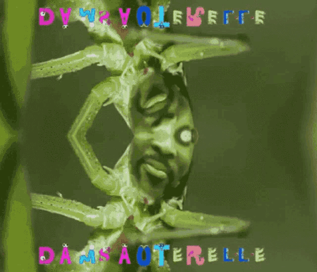 Swag GIF Swag Discover & Share GIFs