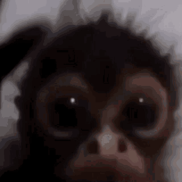 Monkey GIF Monkey Monk Ey Discover & Share GIFs