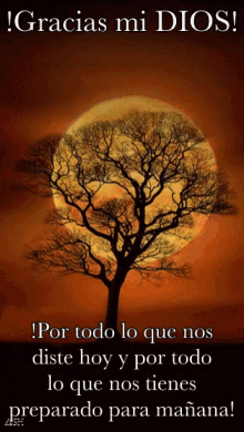 Tengo Que Darles Las Gracias Berlin Gif Tengo Que Darles Las Gracias Berlin Pedro Alonso Discover Share Gifs