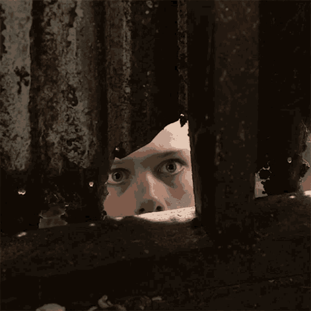 Peeking Young Elvis GIF Peeking Young Elvis Elvis Discover & Share GIFs