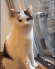Smiling Cat Gifs Tenor