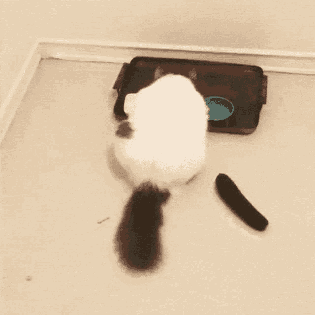 Cucumber4 GIF Cucumber4 Discover & Share GIFs