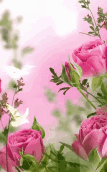 Gifese Rosas Gifs Tenor