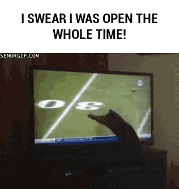 Catch Open GIF Catch Open Discover & Share GIFs