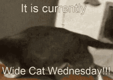 It Is Wednesday Gifs Tenor