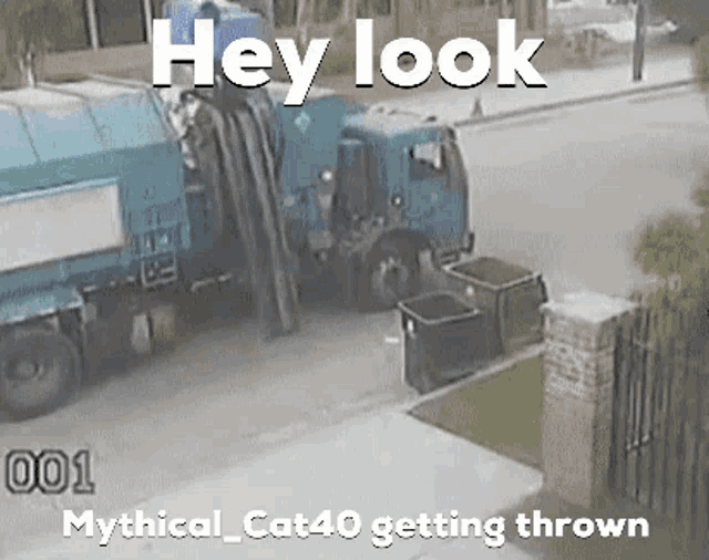 Mythicalcat40 Getting Thrown GIF Mythicalcat40 Getting Thrown Garbage