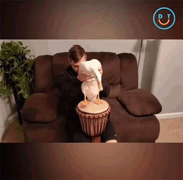 Drumming Tapping GIF Drumming Tapping Beats Discover & Share GIFs