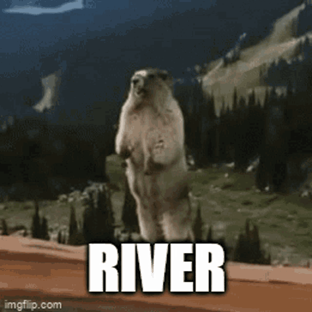 Funny River GIF Funny River Discover & Share GIFs