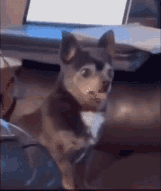 Bark Barking Dog GIF Bark Barking Dog Valrise Discover & Share GIFs