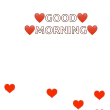 Mary woodland — good morning 04:28. Good Morning Love Gifs Tenor