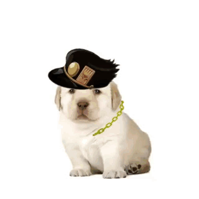 Jojo Dog Meme PFP