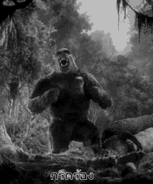 King Kong Roar Gifs Tenor