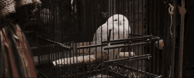 Hedwig Harry Potter Gif Hedwig Harry Potter Owl Discover Share Gifs