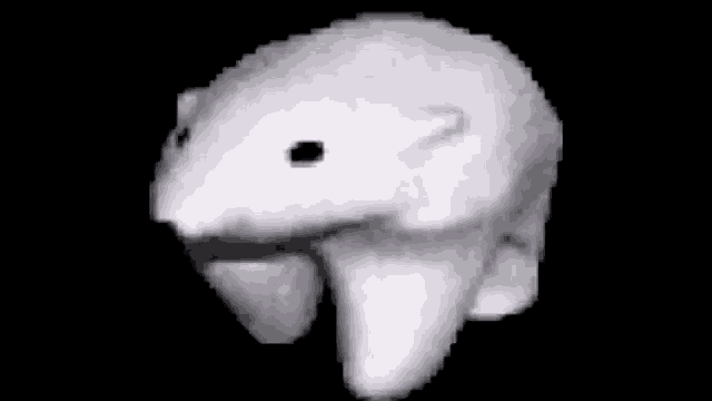 Oso Caminando Gif Oso Caminando Bear Discover Share Gifs