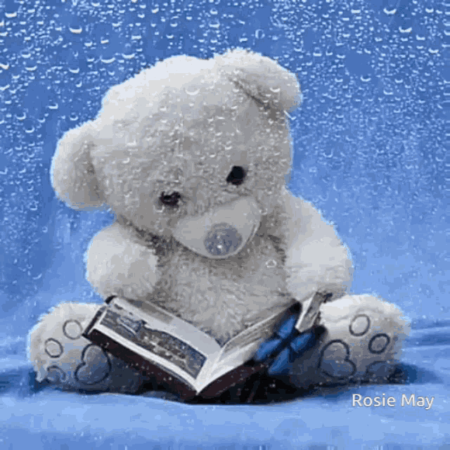 Teddy Bear GIF Teddy Bear Discover & Share GIFs